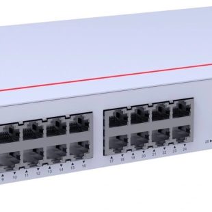 98012202 S310-24T4S